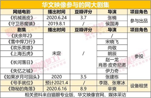 6亿保底《李娜传》背后 起底华文映像的急速进阶史